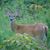 KimBerly Eichele's profile image