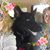 Jayme Salser-Stone's profile image