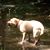 Connie Confer's profile image