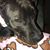 Michelle Brubaker's profile image