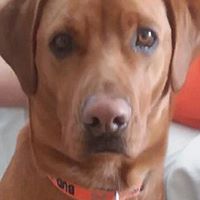 Tim Malmstrom's profile image