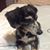 Tiffany Kyle Martin's profile image