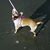 Terri Maples's profile image