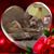 Jill Childress's profile image