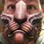 Desiree Shupe's profile image