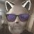 Jay Carlton's profile image