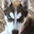 Janice Alexander's profile image
