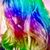 Laurel Gales Stanford's profile image