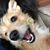 Amy DeLong Dana's profile image