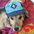 Andrea Salyer's profile image