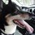 Naomi Noel Brobst's profile image
