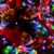 Marie Tirpak Ryan's profile image