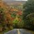 Debra Robinson's profile image