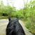 Janet Phyillaier Roop's profile image
