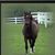 Amy Fairchild Hullinger's profile image