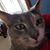 Patti Clouse's profile image
