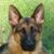 Kevin Baker's profile image