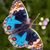 Caty Limes's profile image