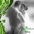 Katie Clyburn's profile image