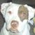 Kelsey Johnsen's profile image