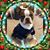 Susan Craft Smith's profile image