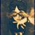 Miranda Trenholm's profile image