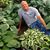 Michael Carr's profile image