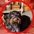 Bonnie Wisser Tobias's profile image
