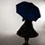 Marissa Burke's profile image