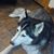 Jason Weaver's profile image