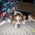 Kathy Kay Morey's profile image