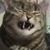 Josh Norwood's profile image