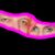 Donna Ryan's profile image