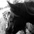 Ashley Taylor Oliver's profile image