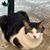 Paul Zosa's profile image