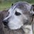 Sarah McBride's profile image