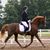 Dwight Johanna Consolver's profile image