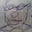 empty three's profile image