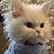 Lisa Hockenberry's profile image