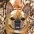 Jenn Mills Yates's profile image