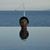 Noriko Satoh's profile image