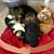 Susan Michelle Brock's profile image