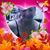 Sonia Lugo Negron's profile image