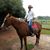 Marco Aurelio Martins's profile image