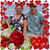Stacey R Wilkanoski's profile image