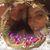 Lynn Daddio's profile image