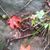 Nola Magnuson Mark's profile image