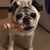 Melissa DeLuca Kelly's profile image