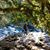 Robyn Eskenazi Gray's profile image