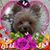 Mary Siddle's profile image